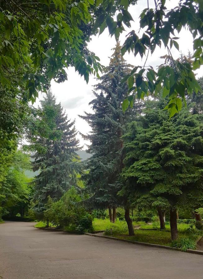 Vanadzor Armenia Health Resort & Hotel Exteriér fotografie